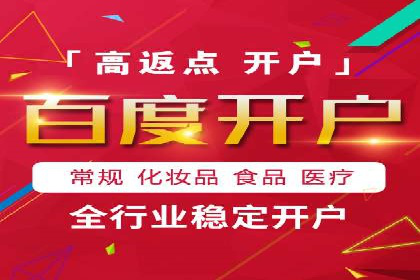 百度广告投放策略与效果评估案例